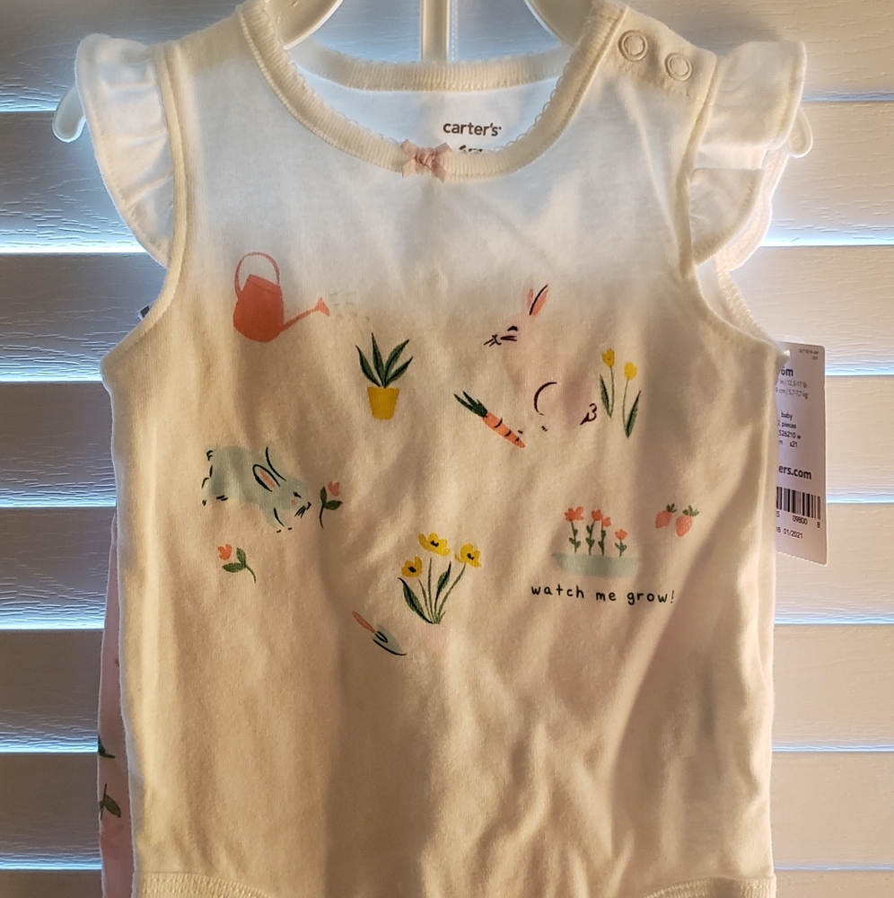 NEW Carter's baby girl top and pants